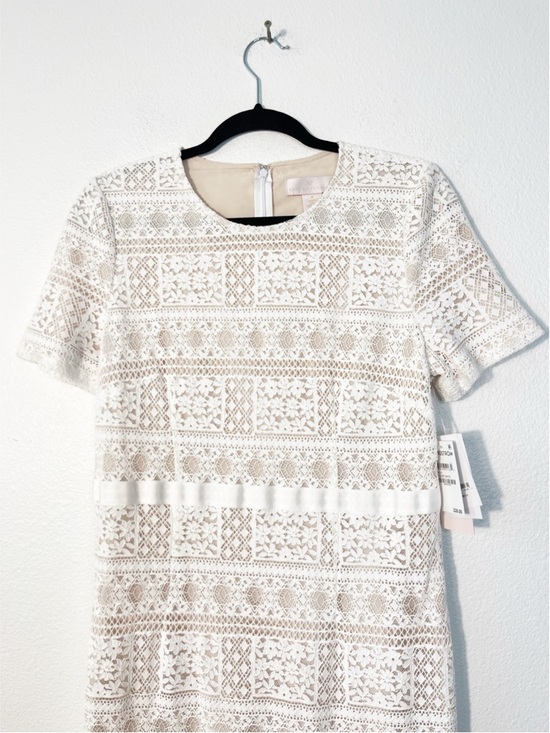 NWT Rachel Parcell Striped Lace Fitted Midi Dress in Lucent White Size Medium - Picture 4 of 7